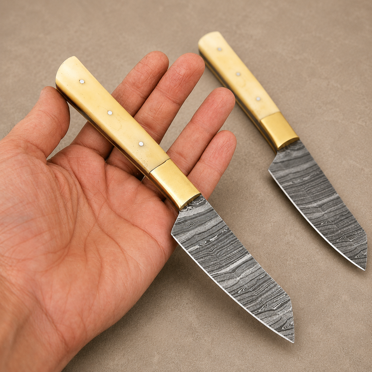 Handmade Damascus Steel Steak Knife Kitchen Set with Bone & Brass Handle – 512 Layers Twist Pattern Chef Knives
